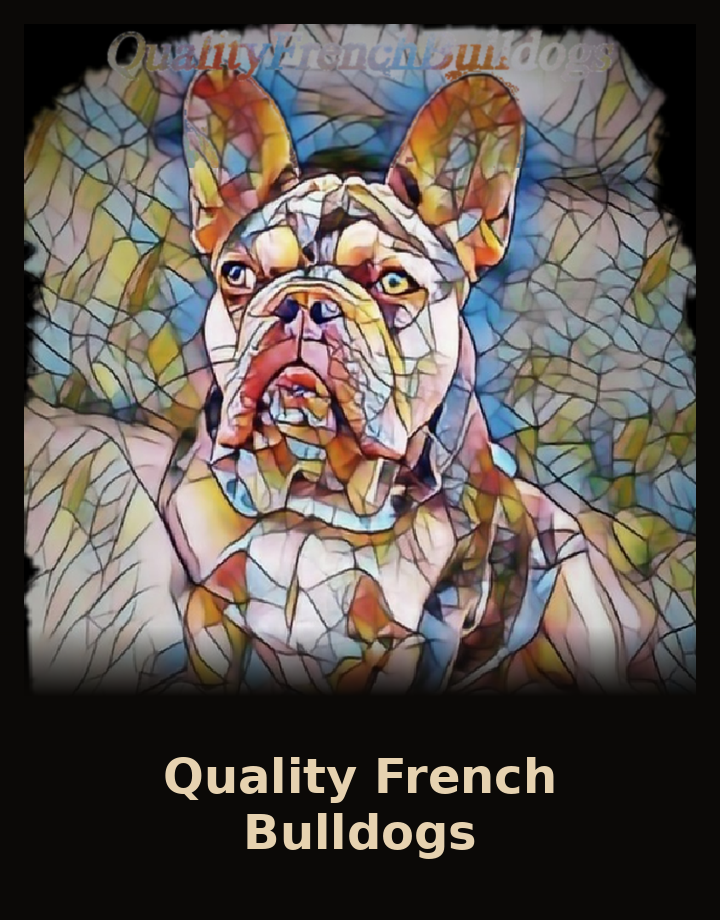 Quality French Bulldogs logo